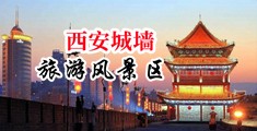 美女操在线观看网站中国陕西-西安城墙旅游风景区